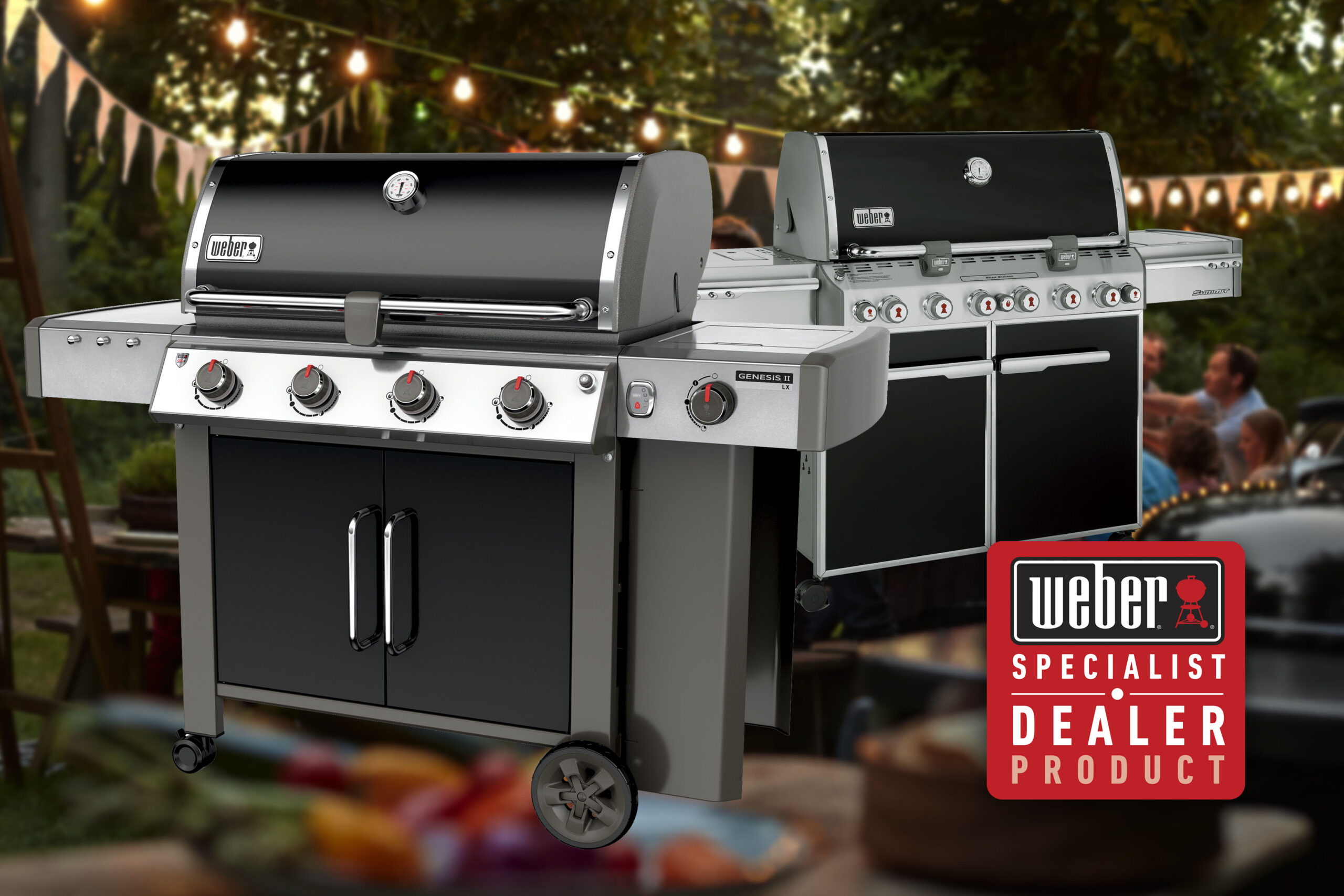 BBQ Kingdom -BBQ Kingdom Feature2 scaled